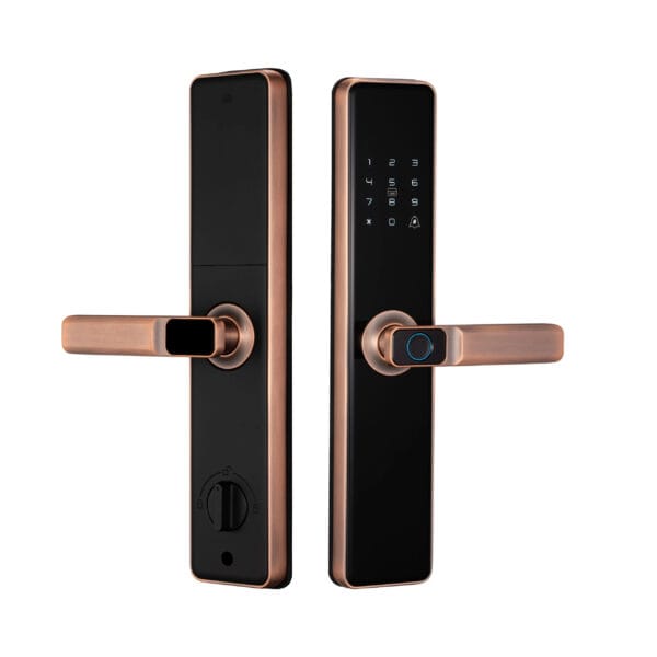IMG_4510 LOCKEDDOOR Q6 Gold